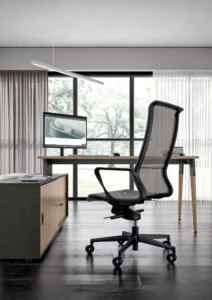 Dinamica and Dinamica Soft çalışma koltuğu 6. görsel