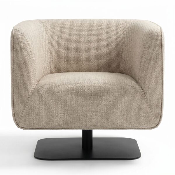 Club chair Çok Amaçlı Koltuklar
