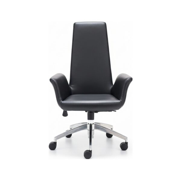 Rega Executive Chairs