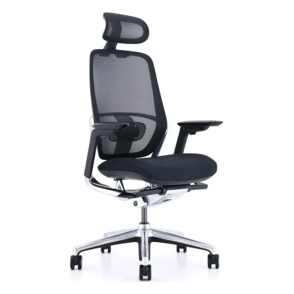 Hina ergonomik ofis koltuğu
