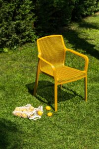 Briza