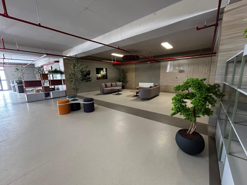 Lounge alanı, puf grubu ve bitkilendirme