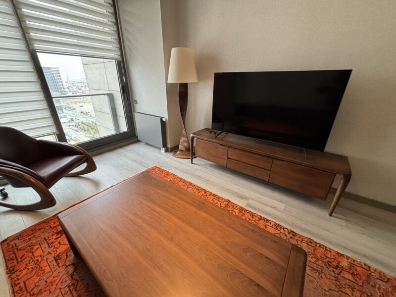 Ofis dinlenme alanı, ceviz TV ünitesi ve orta sehpa