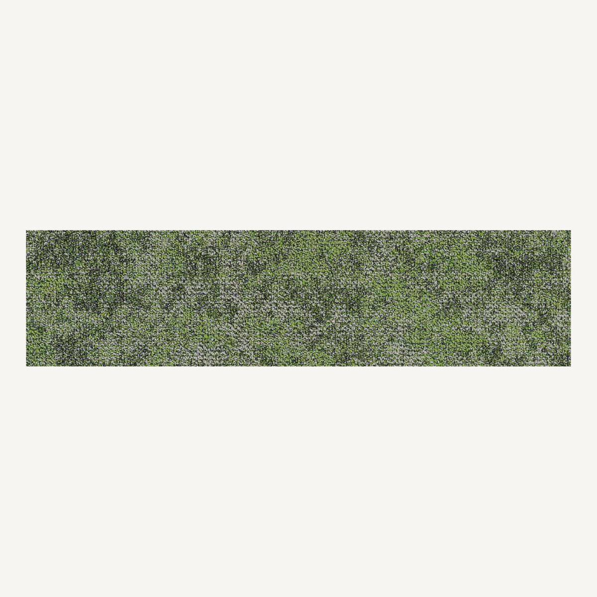 Bloom 03