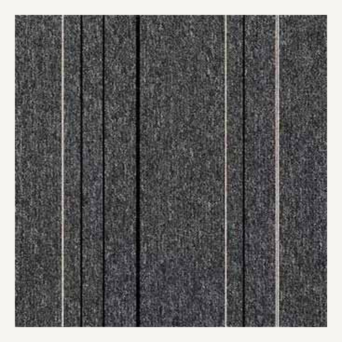 Linea 01 1