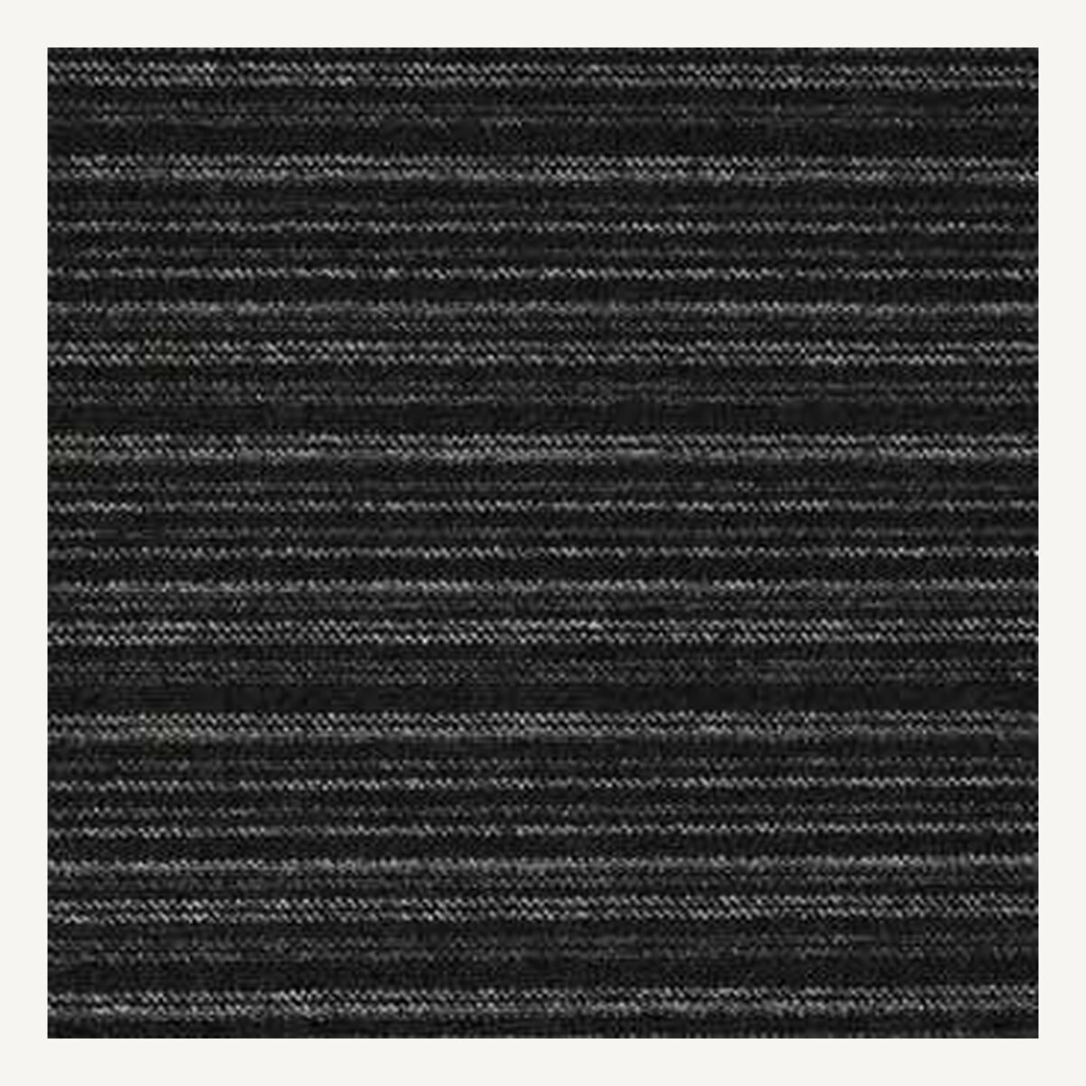 Rib 01