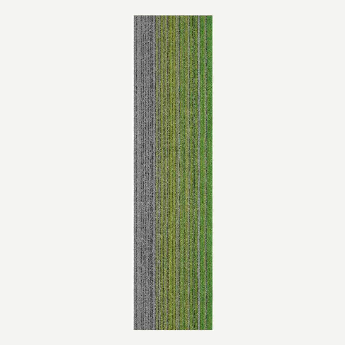 Signal 05