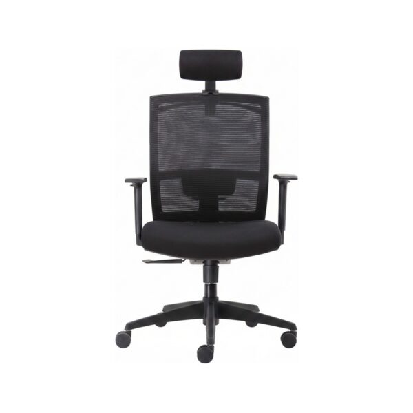 D227 Executive Chairs