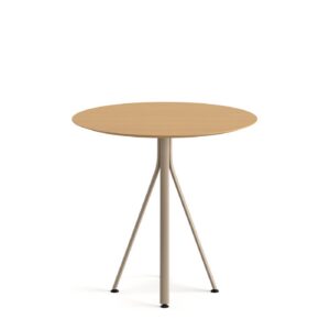 Canya cafe masası Ø80 H75 cm