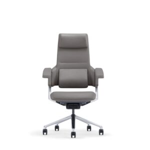 Starlux, yönetici koltuğu