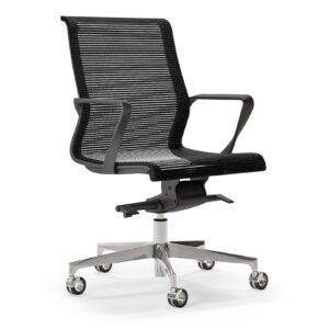 Dinamica and Dinamica Soft