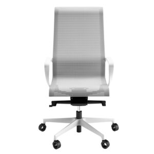 file-78 Dinamica and Dinamica Soft