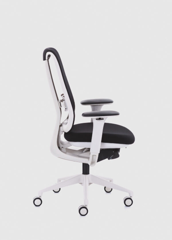 Libra, çalışma koltuğu