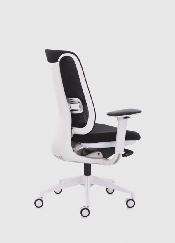 Libra, çalışma koltuğu