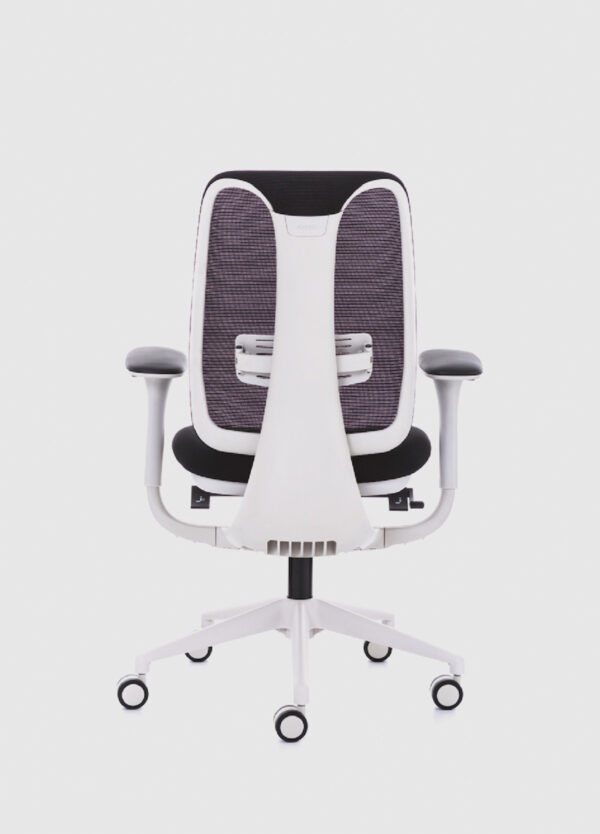 Libra, çalışma koltuğu