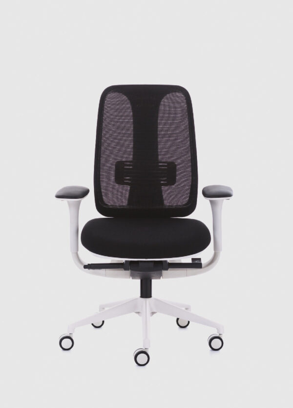 Libra, çalışma koltuğu