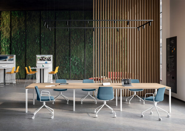 file-630 Clue, sandalye