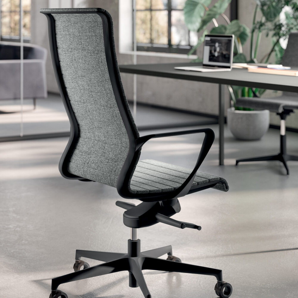 Dinamica and Dinamica Soft