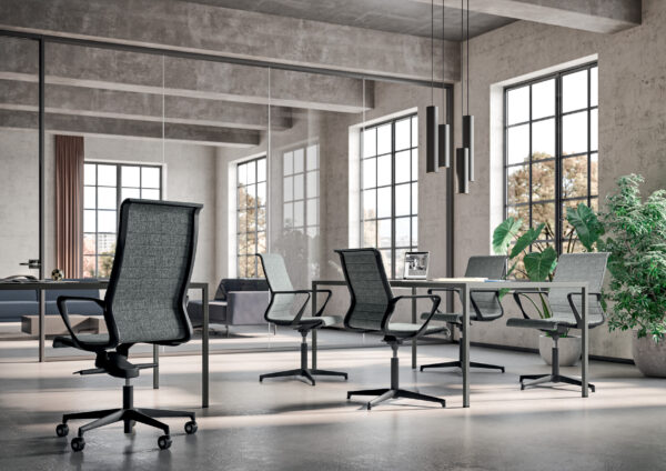 Dinamica and Dinamica Soft, çalışma koltuğu