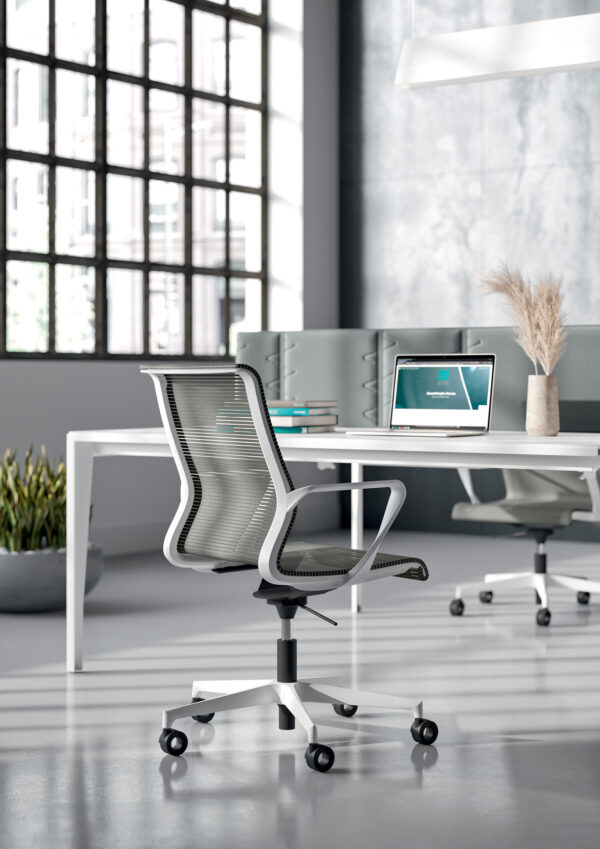 Dinamica and Dinamica Soft, çalışma koltuğu