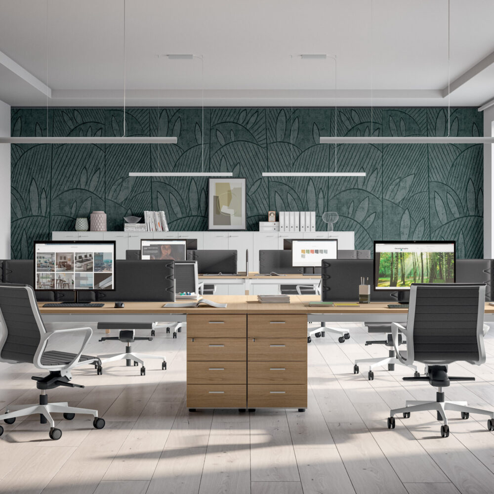 Dinamica and Dinamica Soft