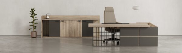 Marwood_Eva_Inspiration_01 Eva, yönetici masası