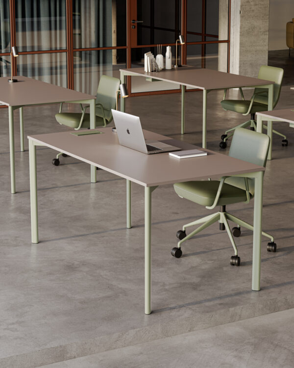 Evol, çalışma masası