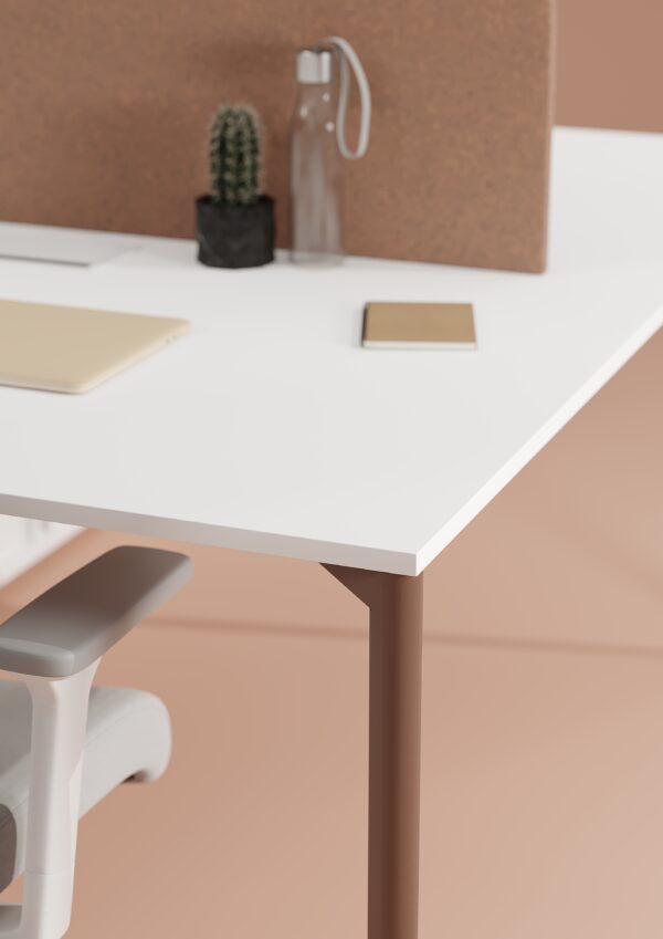 Evol, çalışma masası