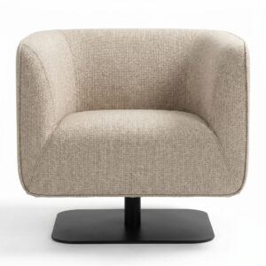 Club chair — görsel 1
