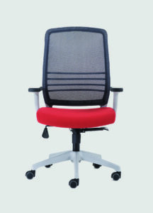 Cobi - CB-06-P-WH-1-1