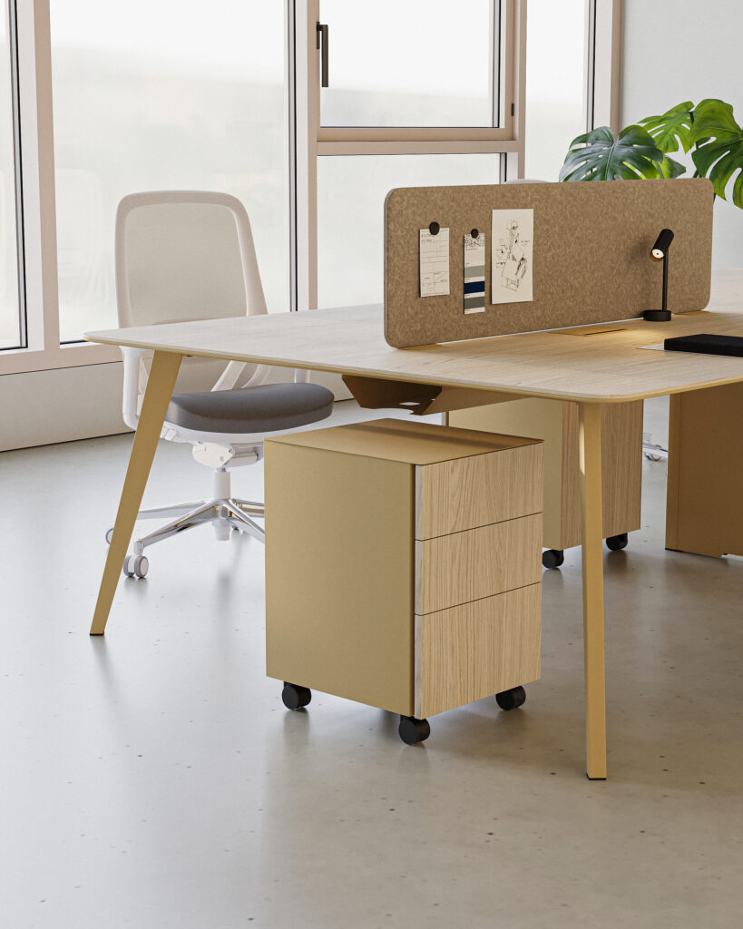 Tin 14 - Kesonlar | Kavela