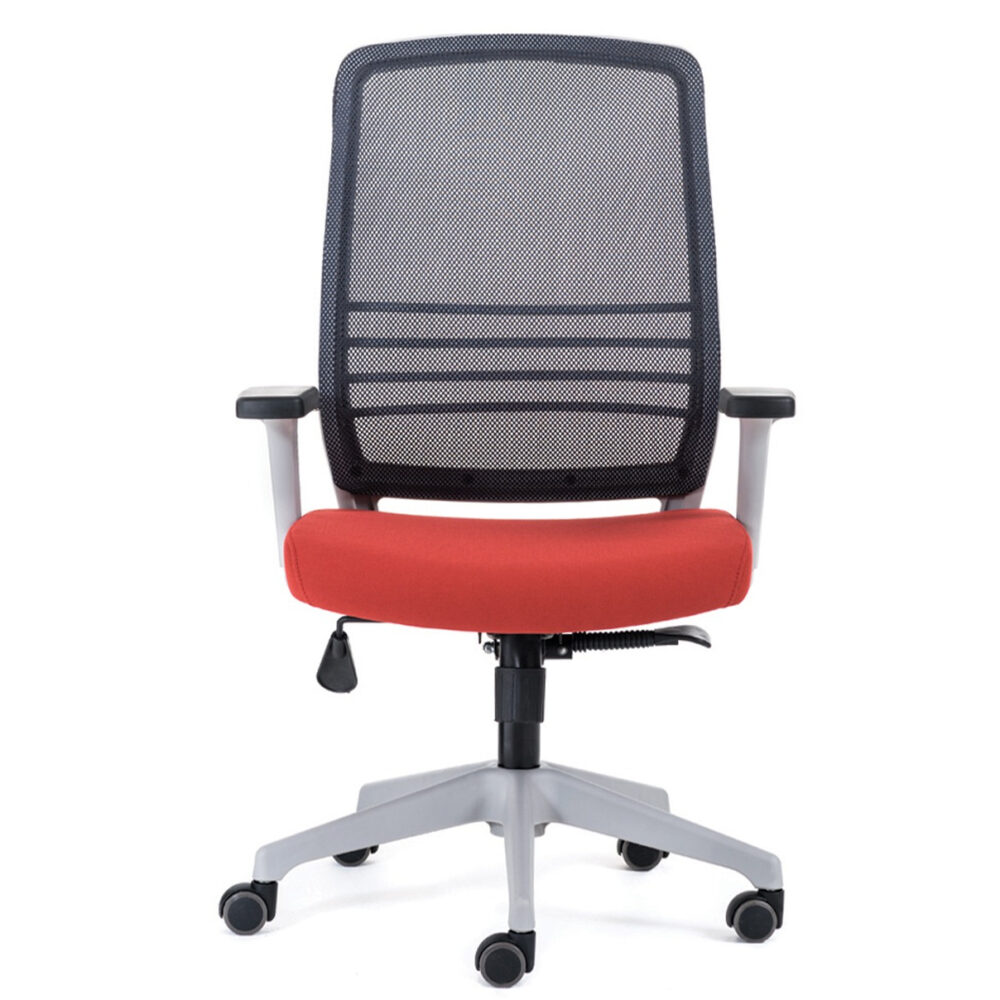 Cobi 2 - Evden Çalışma | Kavela