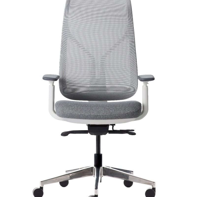 Sodu ofis koltuğu