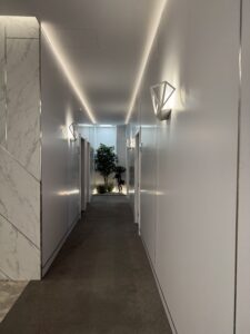 Starlight — image 4