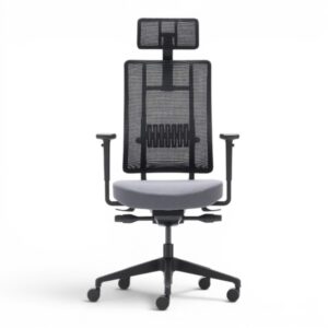 X-Trans — image 1
